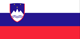 Slovenia flag